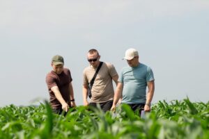 Від досліджень до виробничих рішень
