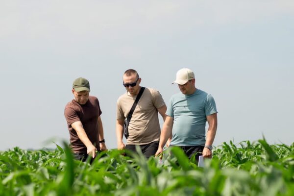 Від досліджень до виробничих рішень