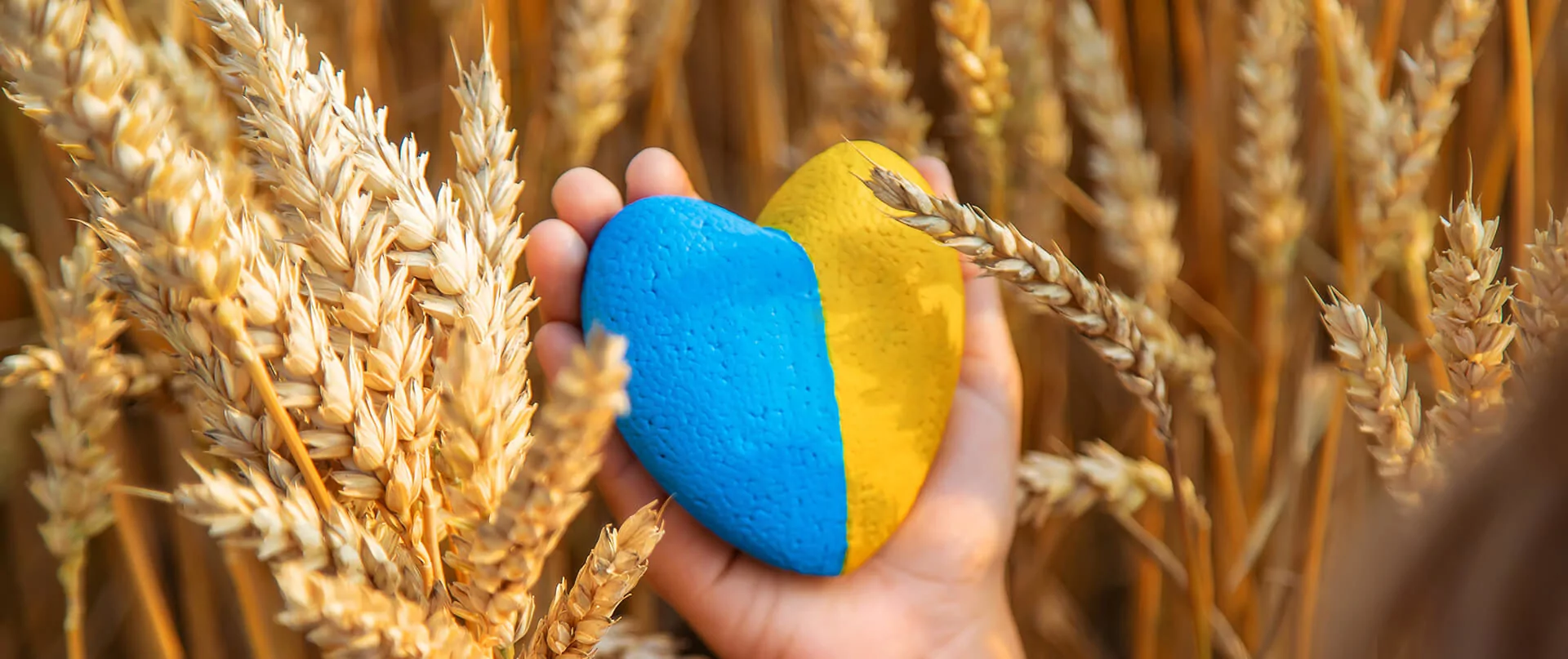 Рука тримає синьо-жовту фігурку серця