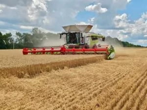 Фінішували: збір озимих завершено!